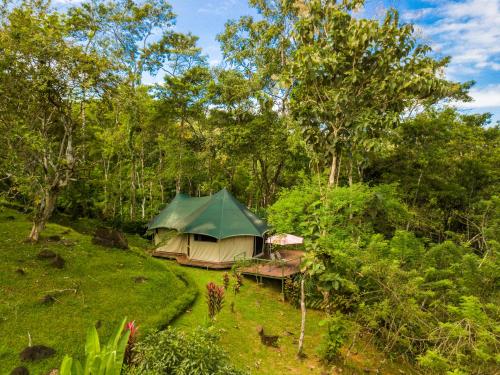 Paisagem natural perto do bed and breakfast
