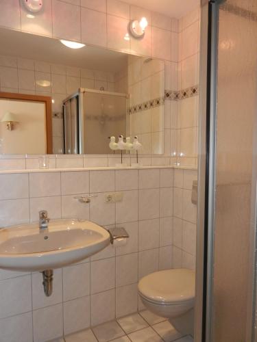 a bathroom with a sink and a toilet and a mirror at Landhaus Braband in Cuxhaven
