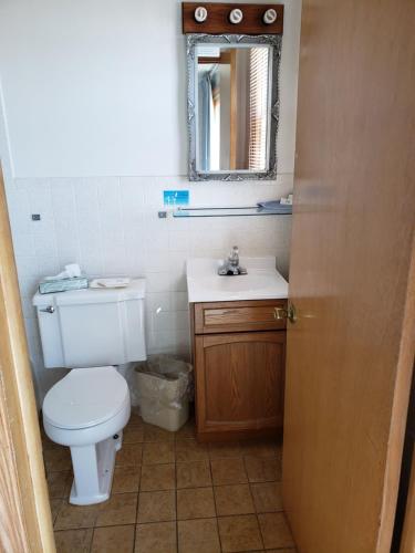 a bathroom with a toilet and a sink and a mirror at Algoma Beach Motel in Algoma