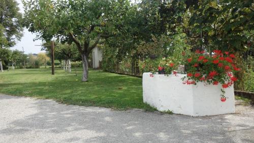 a white wall with red flowers in a yard at Apartment Mia in Donja Pačetina