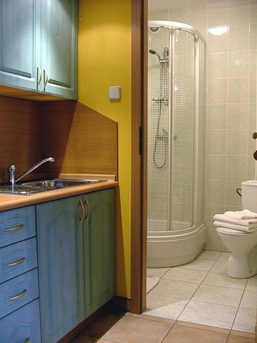 a bathroom with a shower and a sink and a toilet at Dom Gościnny Pod Brzozami in Poznań