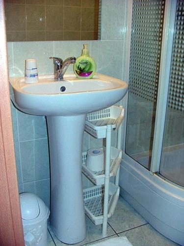 a bathroom with a sink and a shower at Dom Gościnny Pod Brzozami in Poznań