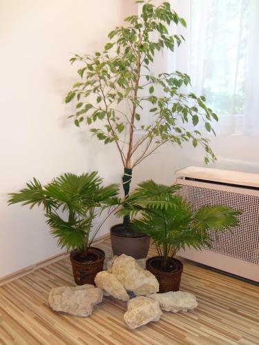 two potted plants sitting on a table with rocks at Hotel Touring in Nagykanizsa