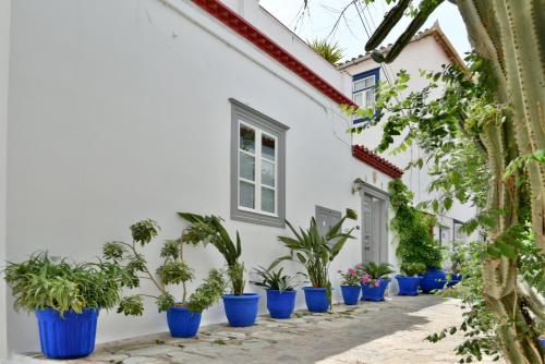 a row of blue potted plants on a white house at Manolia in Hydra