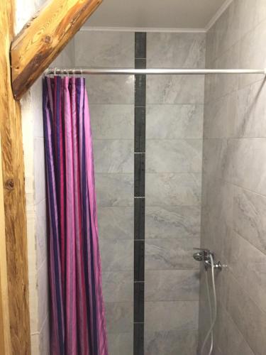 y baño con ducha y cortina de ducha rosa. en Vila Mangart, en Bled