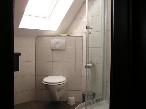 ナウムブルクにあるHaus Thomasのバスルーム(トイレ、天窓付)