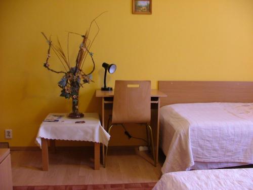 a bedroom with a desk and a bed and a chair at Dom Gościnny Pod Brzozami in Poznań