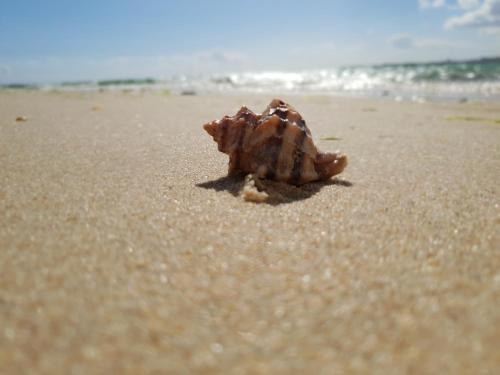 Gallery image of Alta Oura in Albufeira