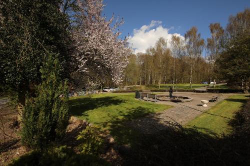 a park with a fountain and trees in the background at Hotel Amerika in Hobro