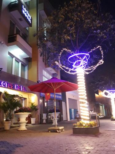 a christmas lighted tree on a city street at night at Lotus Hotel Hai Duong in Hải Dương