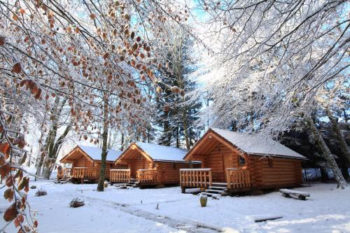 a couple of log cabins in the snow at Chambres d'hôtes La Gargaille in Alièze