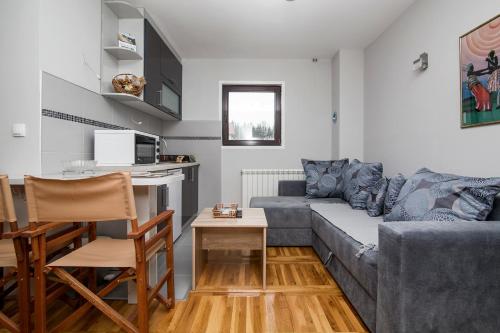 a living room with a couch and a table at Apartmani Tarsko Sunce in Kaludjerske Bare