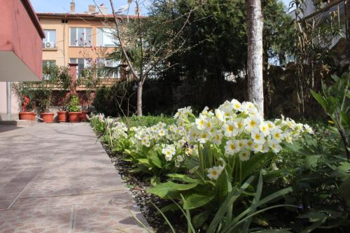 a garden with white and yellow flowers next to a sidewalk at Guest House Dara in Tsarevo