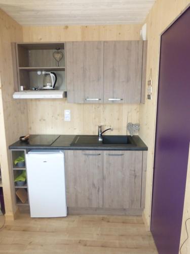 une petite cuisine avec un évier et un réfrigérateur dans l'établissement La cabane du Bonheur, aux Herbiers