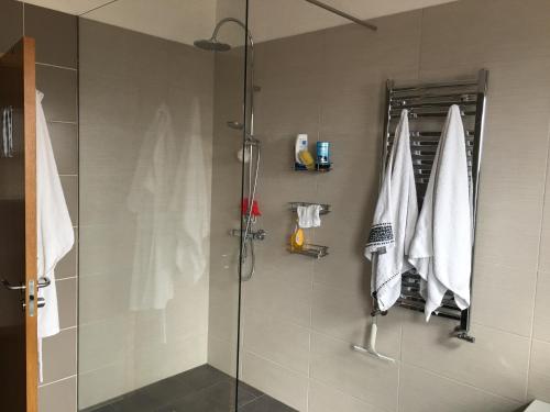 a shower with a glass door and towels in a bathroom at Dagpol in Sandgerði