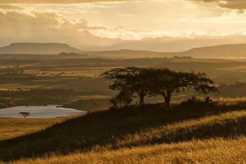 a tree on a hill next to a river at Three Tree Hill Lodge in Bergville