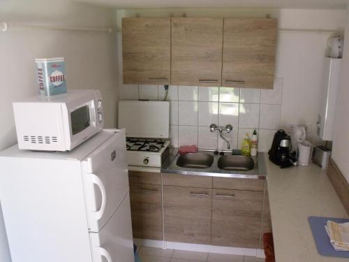a small kitchen with a microwave and a refrigerator at Feszty-fészek Vendégház in Tiszafüred