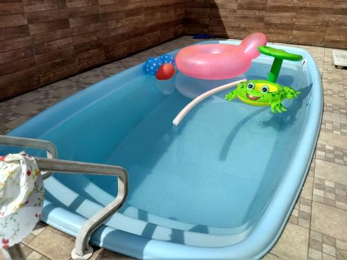 uma banheira de brinquedo com um sapo sentado nela em Casa Temporada em Serra