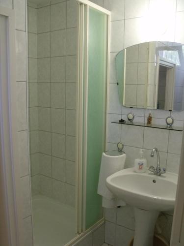 a bathroom with a shower and a sink and a mirror at Feszty-fészek Vendégház in Tiszafüred