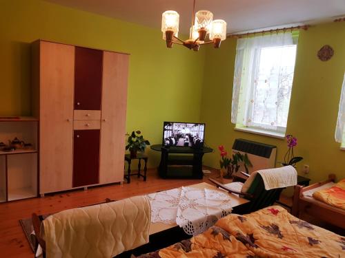 a living room with a bed and a tv at Privat DAŇO in Lisková