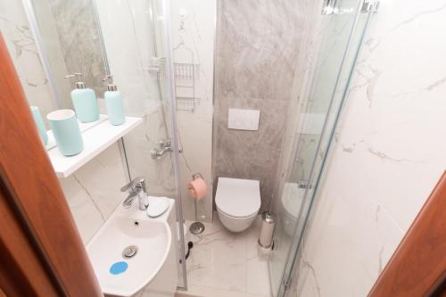 a bathroom with a shower and a toilet and a sink at Alexger Psakoudia Seaview House in Psakoudia