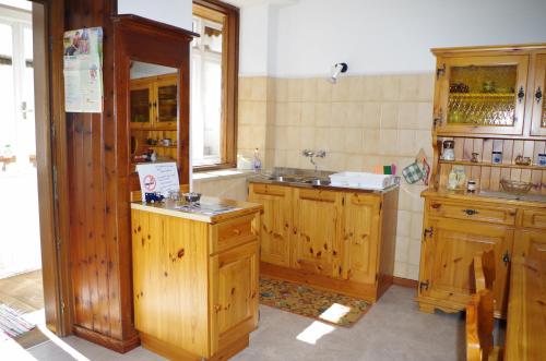a kitchen with wooden cabinets and a sink at Casa Giulia in Fiera di Primiero