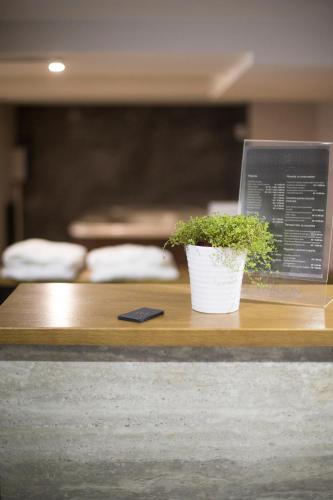 a potted plant sitting on a table with a laptop at A Hoteli - Hotel Slatina in Vrnjačka Banja