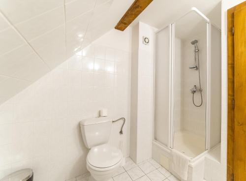 a white bathroom with a toilet and a shower at Pension Marie in Český Krumlov