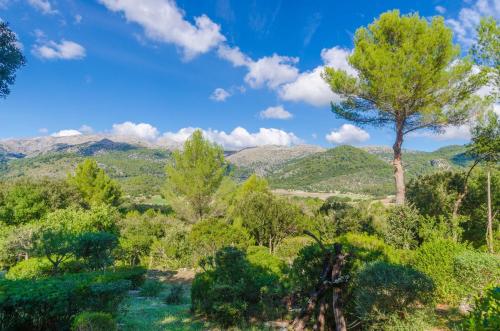 a view of a forest with mountains in the background at S'Alqueria in Campanet