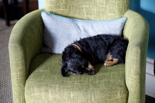 The Lodge Hotel - Putney photo 58