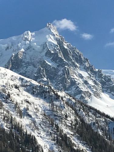a snow covered mountain with trees on it at Appart'Hotel Aiguille Verte & Spa in Chamonix-Mont-Blanc