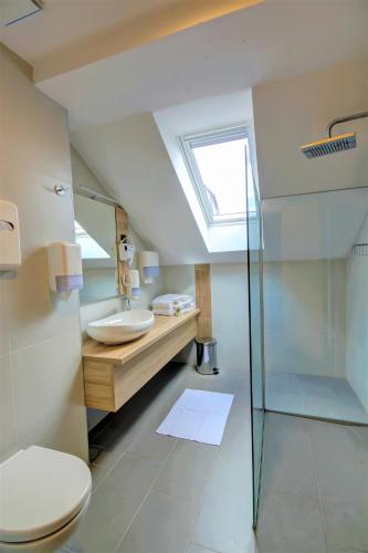 a bathroom with a toilet and a sink and a skylight at 16 Lakes Hotel in Grabovac