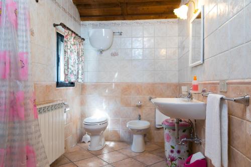 bagno con lavandino e servizi igienici di Country Apartments a Castel di Decima