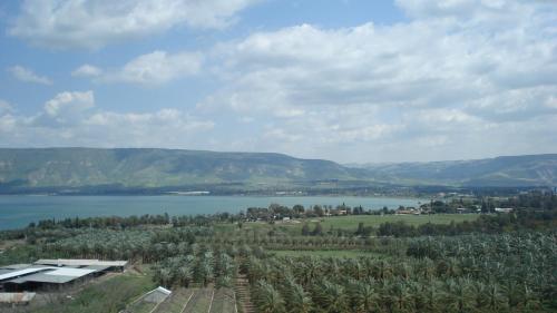 a view of a field of trees and a lake at Degania Bet Kibbutz Country Lodging in Kinneret