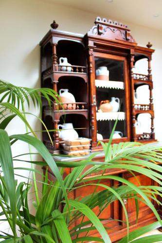 a wooden china cabinet with dishes and a plant at Posada Ignatius in Navarrete