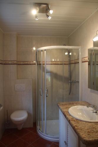 a bathroom with a shower and a toilet and a sink at Ferienwohnung Weidengrund Burg Kauper in Byhleguhre-Byhlen