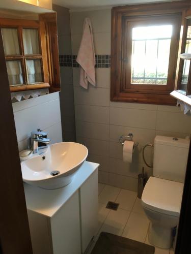 a bathroom with a sink and a toilet at Garden Summer House in Nea Kallikrateia