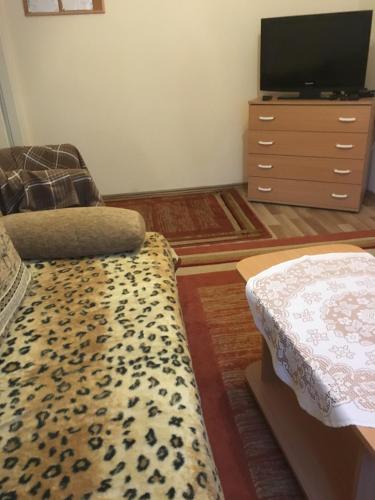 TV a/nebo společenská místnost v ubytování Szundivendégház