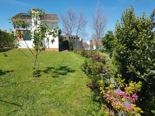 a garden with a small tree and some flowers at StoneWood Lodge AL in São Vicente Ferreira