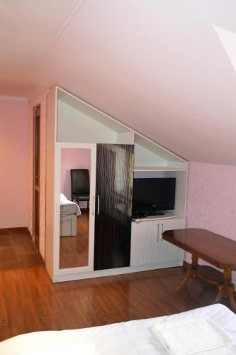 TV a/nebo společenská místnost v ubytování Hotel Nirvana