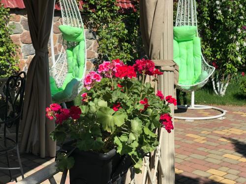 Sofievsky Posad Hotelにある庭