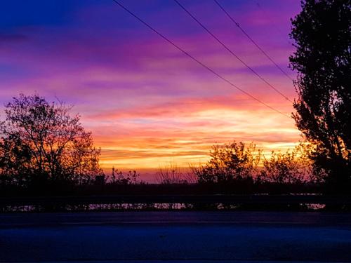 a sunset over a road with trees in the foreground at Infinity in Cervia