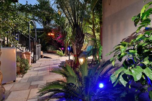 a garden with a palm tree and blue lights at Eden's Boutique in Had Nes