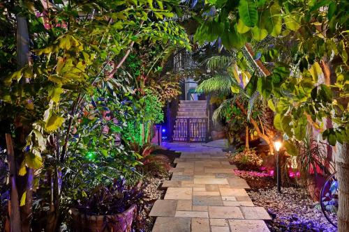 a garden with a pathway with plants and lights at Eden's Boutique in Had Nes