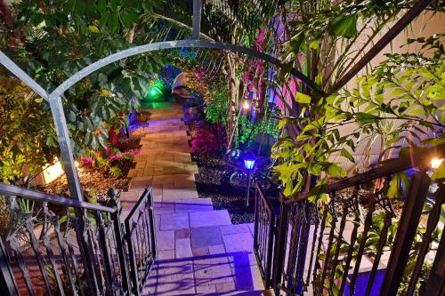 a walkway in a garden with colorful lights at Eden's Boutique in Had Nes