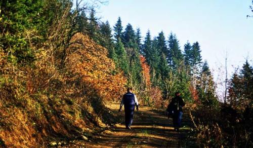 two people are walking down a dirt road at Apartman EXCLUZIV in Prijedor
