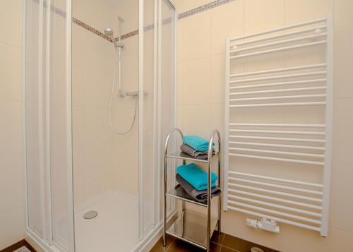 a bathroom with a shower and a towel rack at Spreewaldapartments-Kossatz in Lübben