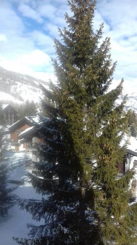a large christmas tree in front of a building at Ca del nono in Pragelato