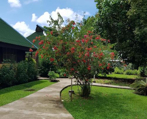 a tree with red flowers in a yard at Pension Les Trois Cascades in Uturoa