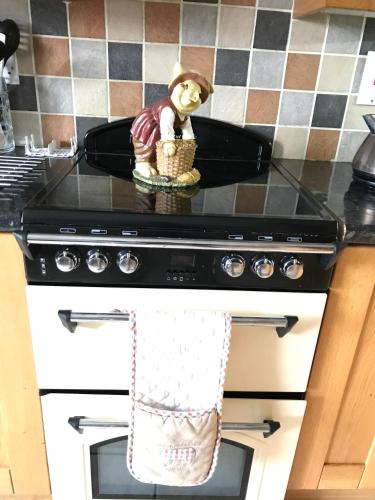 a towel hanging on a stove in a kitchen at Greencastle in Kilkeel